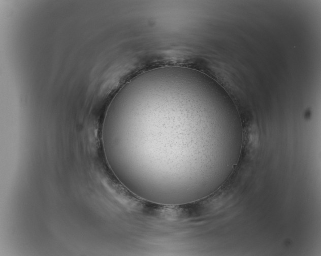 X0000112810615200908281508