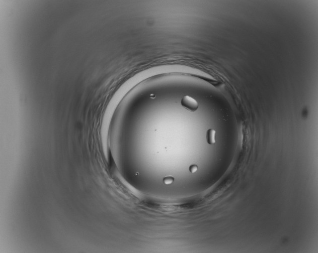 X0000112810617200908281508
