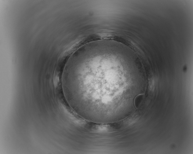 X0000112810618200908281508