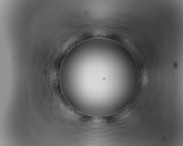 X0000112810619200908281508