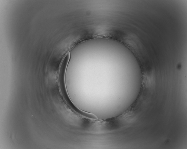 X0000112810621200908281508