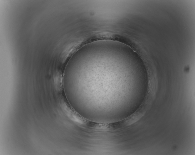 X0000112810624200908281508