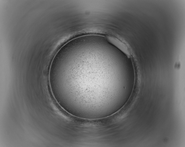 X0000112810625200908281507