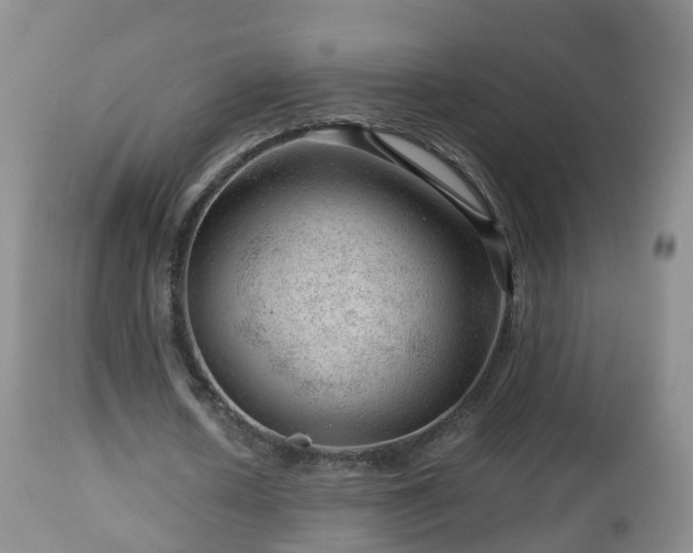 X0000112810626200908281508