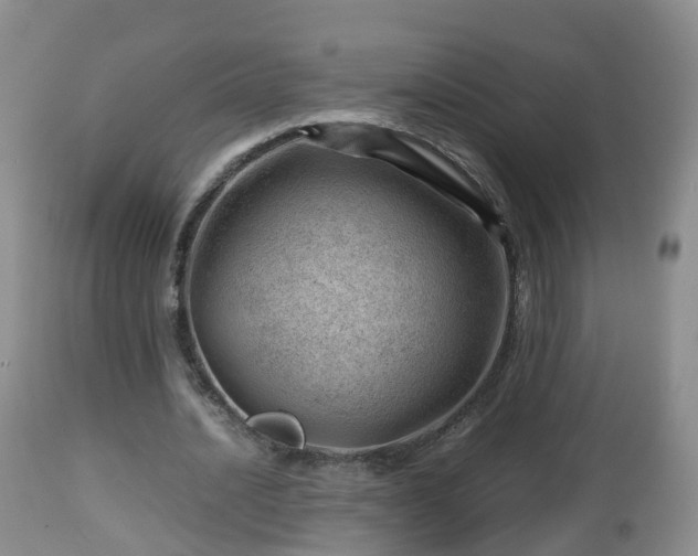 X0000112810628200908281508