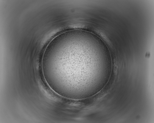 X0000112810631200908281508