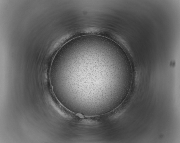 X0000112810633200908281508
