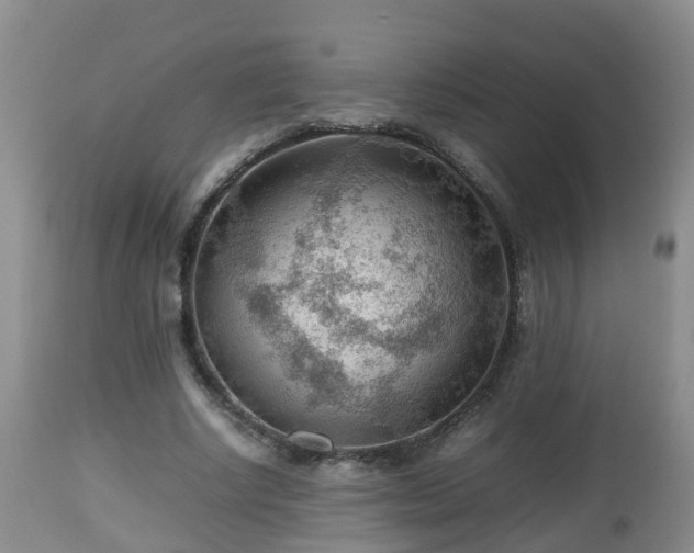 X0000112810634200908281508