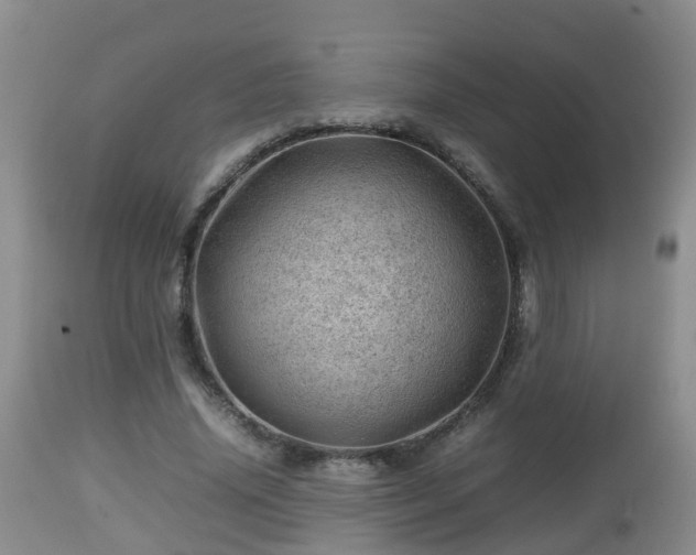 X0000112810636200908281508
