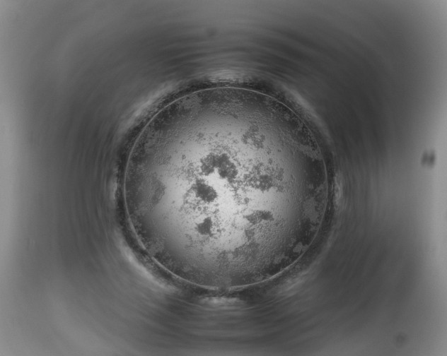 X0000112810637200908281508
