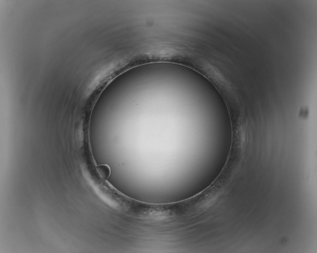 X0000112810638200908281508
