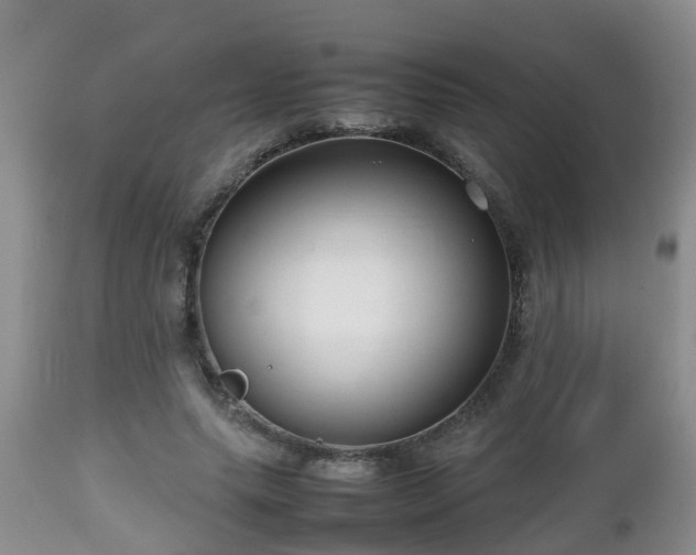 X0000112810639200908281508