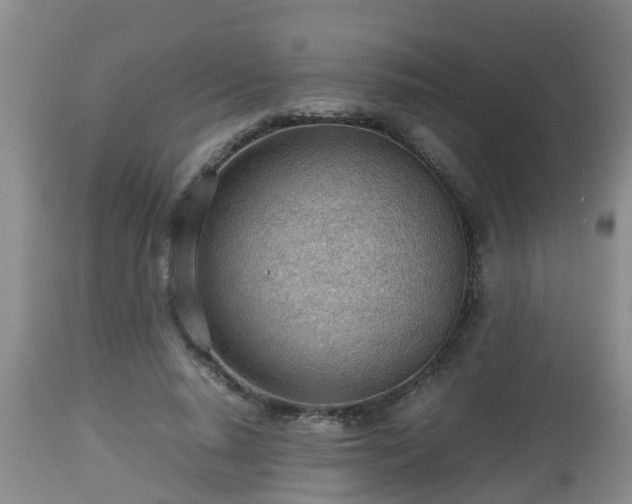 X0000112810640200908281508