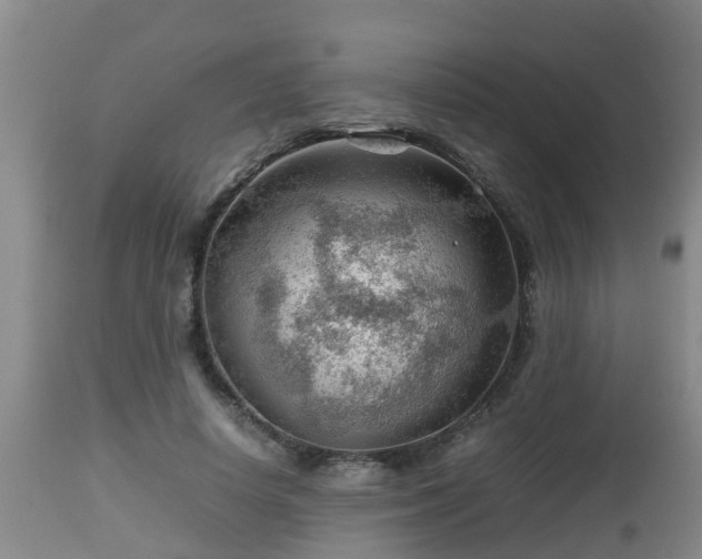 X0000112810642200908281508