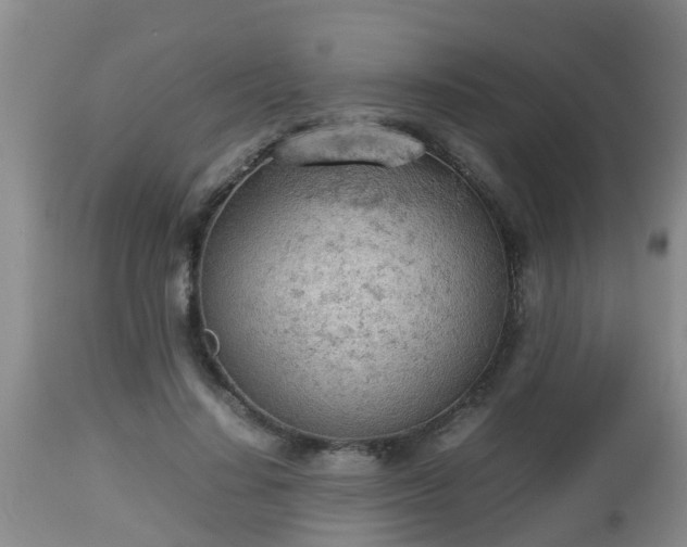 X0000112810644200908281508