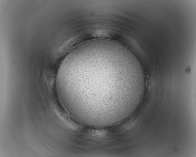 X0000112810645200908281508
