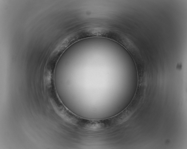 X0000112810646200908281508