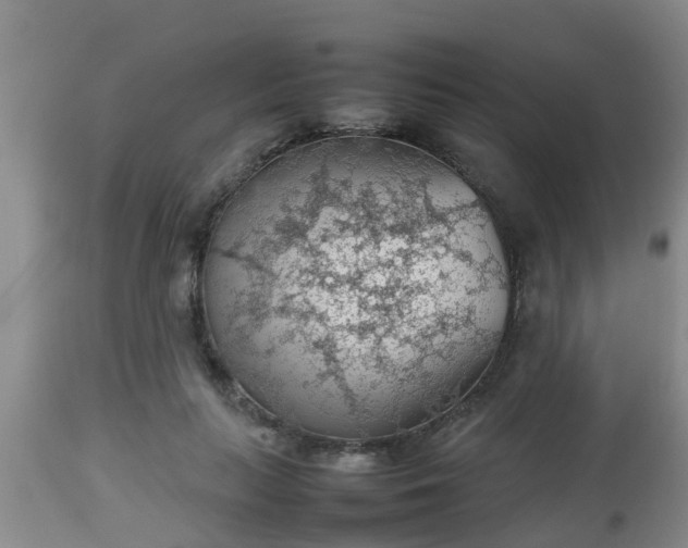 X0000112810647200908281508