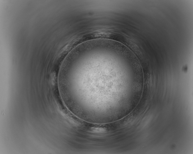 X0000112810649200908281508