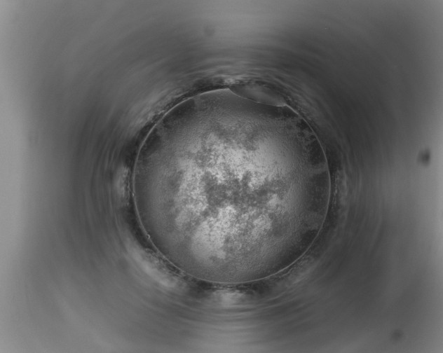 X0000112810650200908281508
