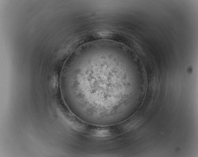 X0000112810651200908281508