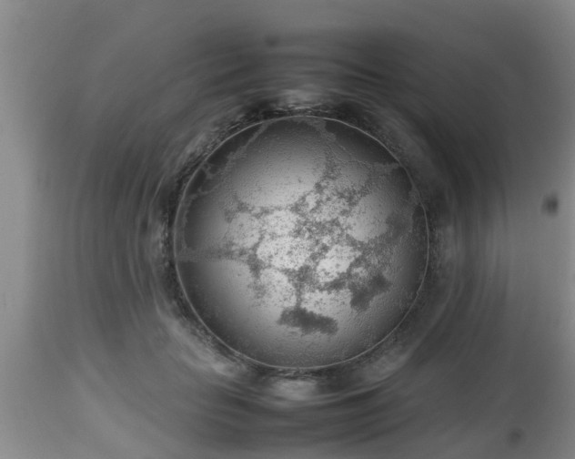 X0000112810653200908281508