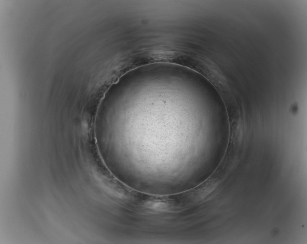 X0000112810655200908281508