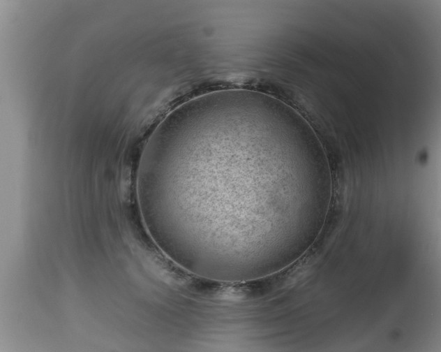 X0000112810656200908281508