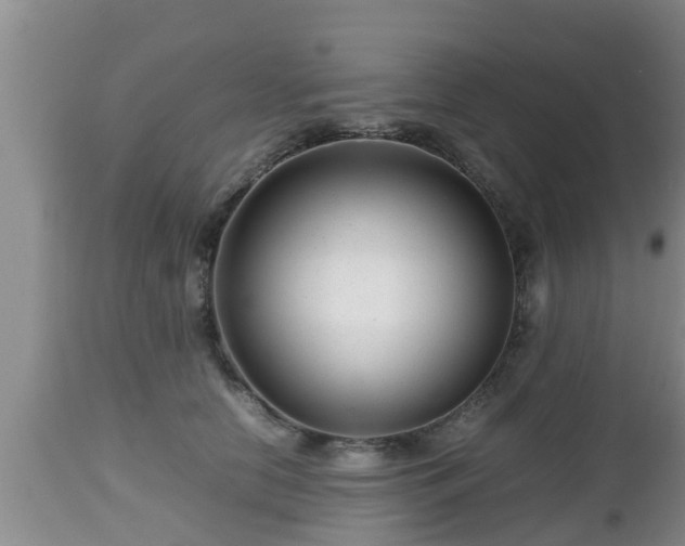 X0000112810658200908281508