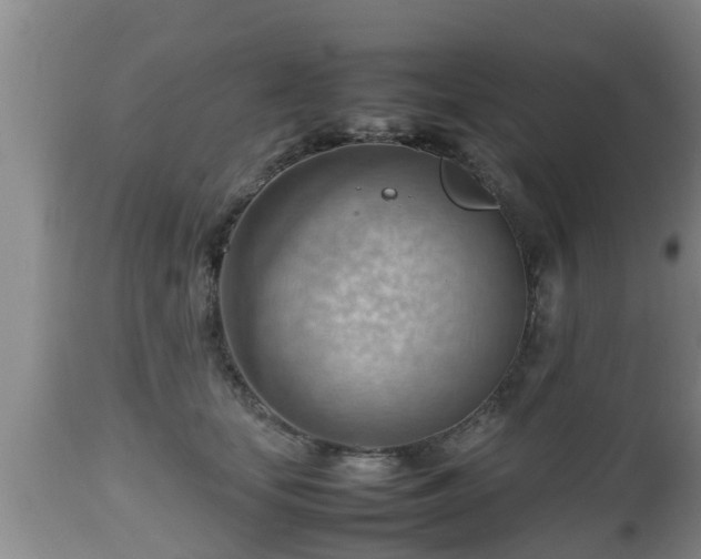 X0000112810659200908281508
