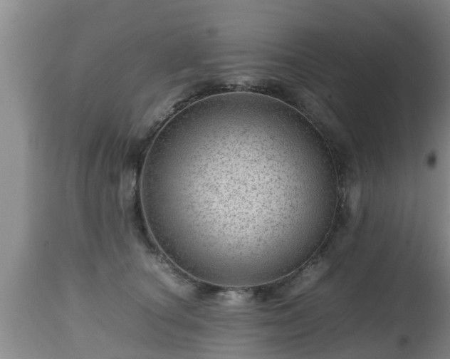 X0000112810660200908281508