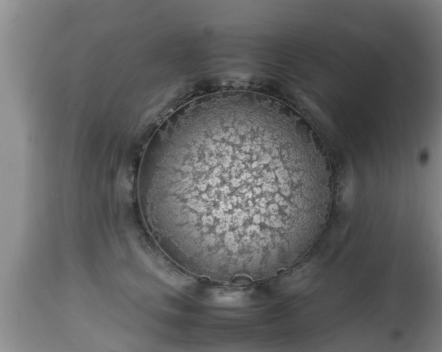 X0000112810661200908281508