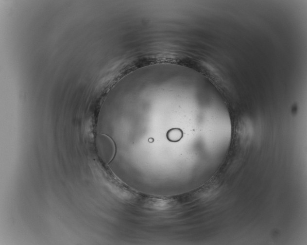 X0000112810663200908281508