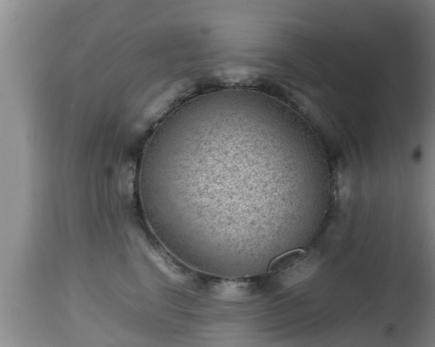 X0000112810664200908281508