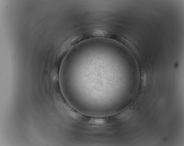 X0000112810665200908281508
