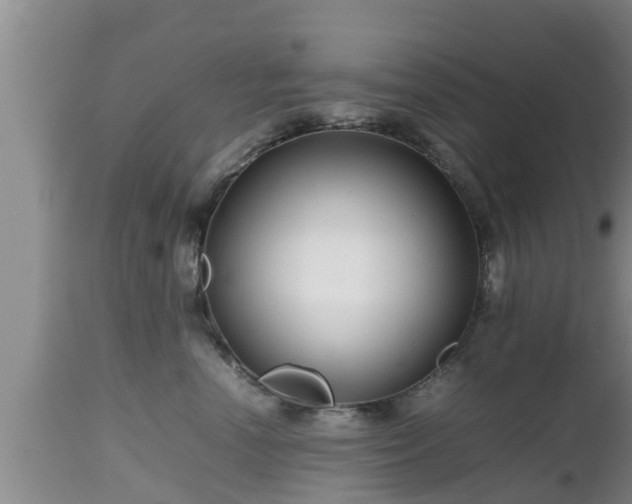 X0000112810666200908281508
