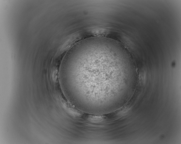 X0000112810671200908281508