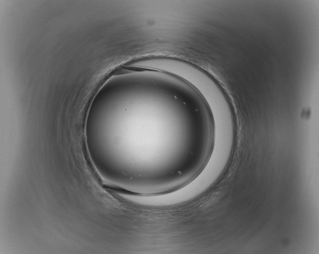 X0000112810673200908281507