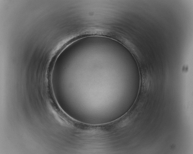 X0000112810674200908281507