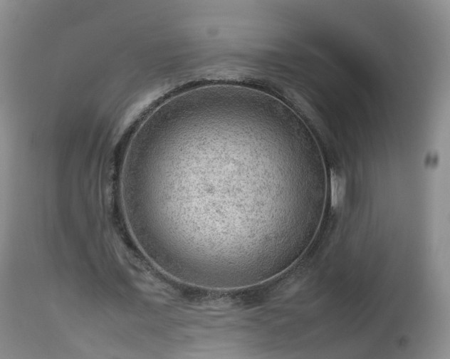 X0000112810675200908281507