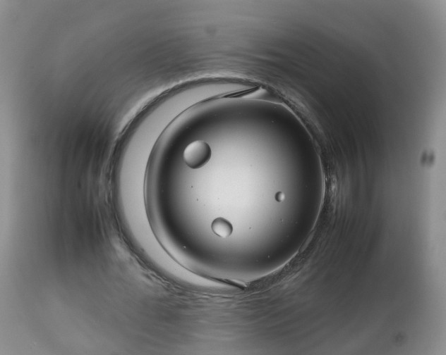 X0000112810676200908281507