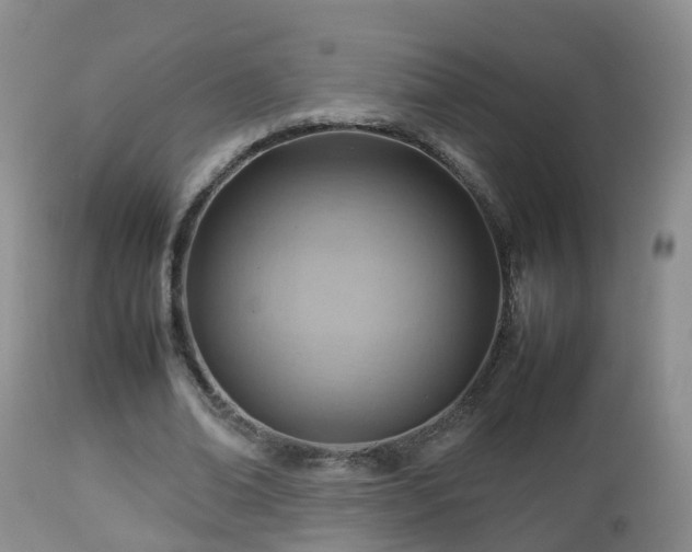 X0000112810678200908281507