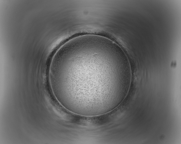 X0000112810679200908281507