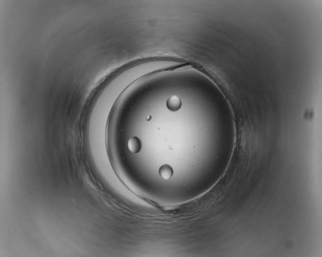 X0000112810680200908281507