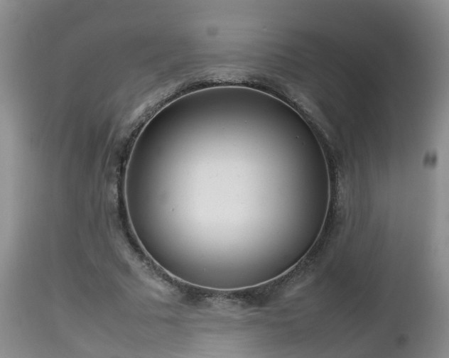 X0000112810681200908281507