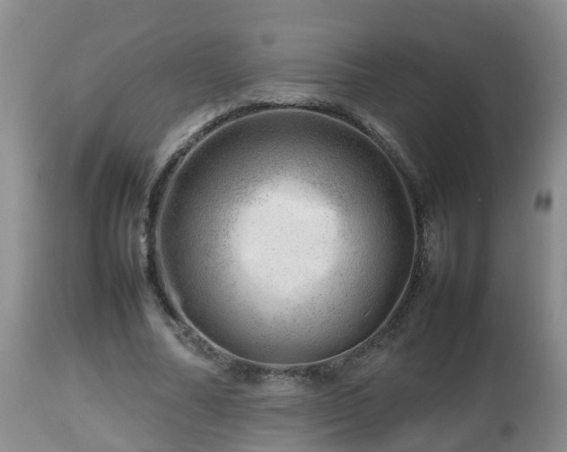 X0000112810682200908281507