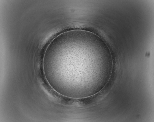 X0000112810683200908281507