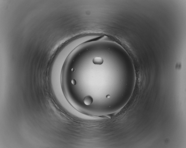 X0000112810684200908281507