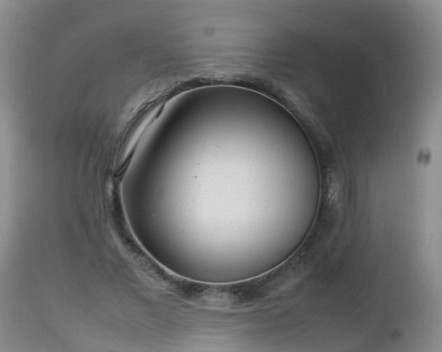X0000112810685200908281507