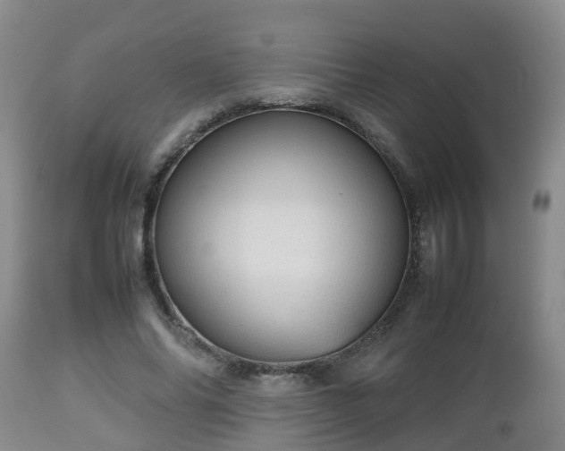 X0000112810686200908281507